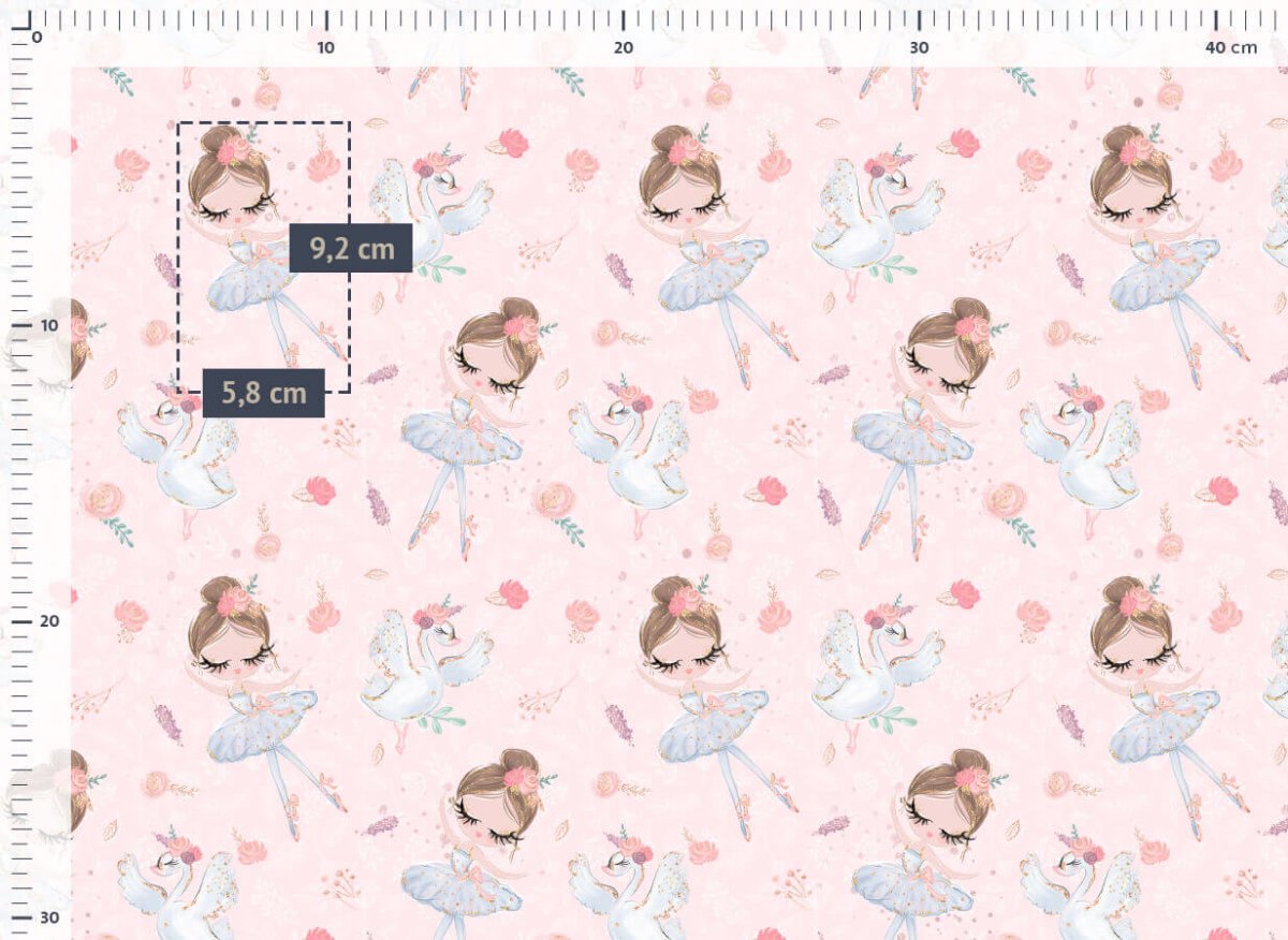 The Ballerina & Swan - jersey