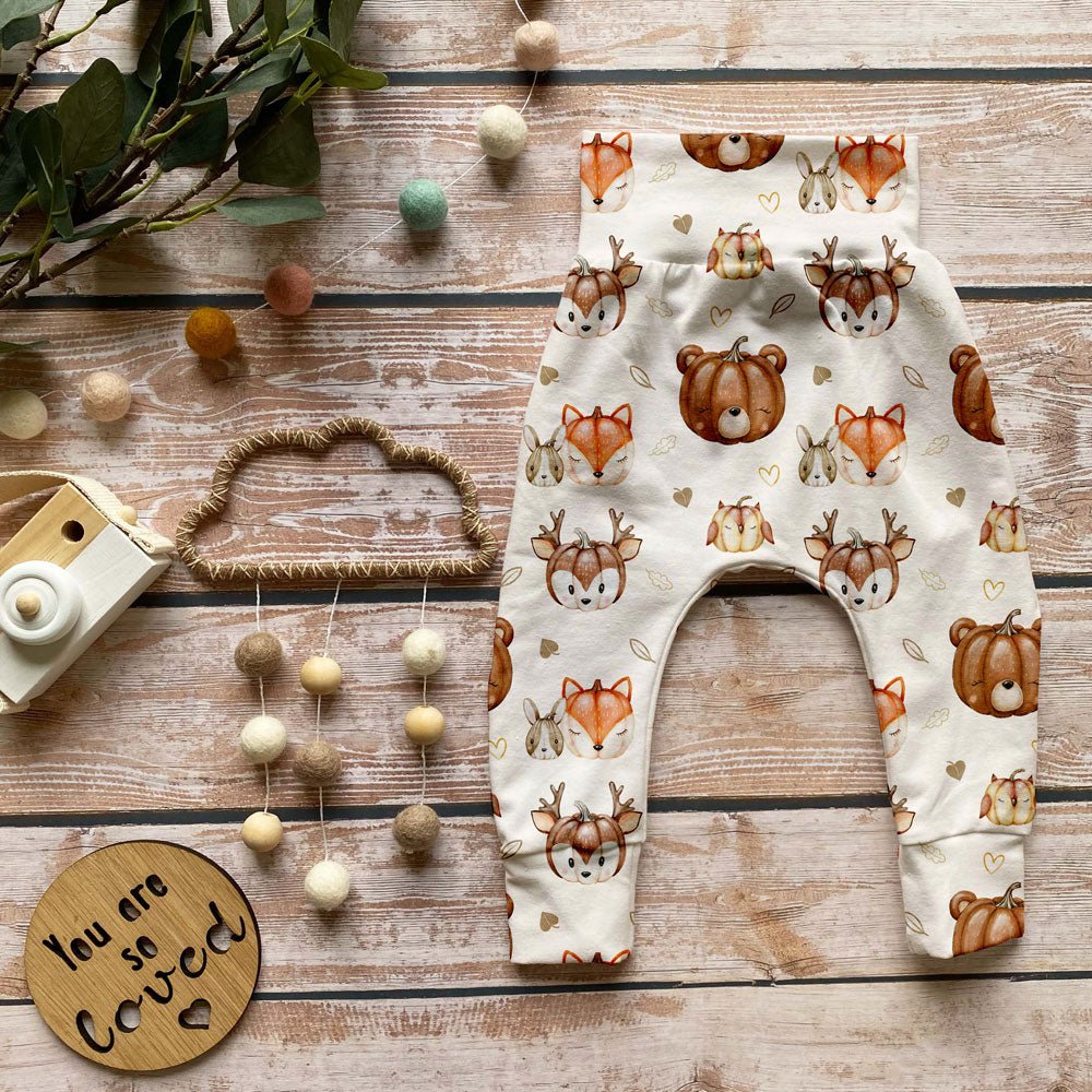 KOMMER SNART Jersey - Pumpkin animals - Tygdrømmar