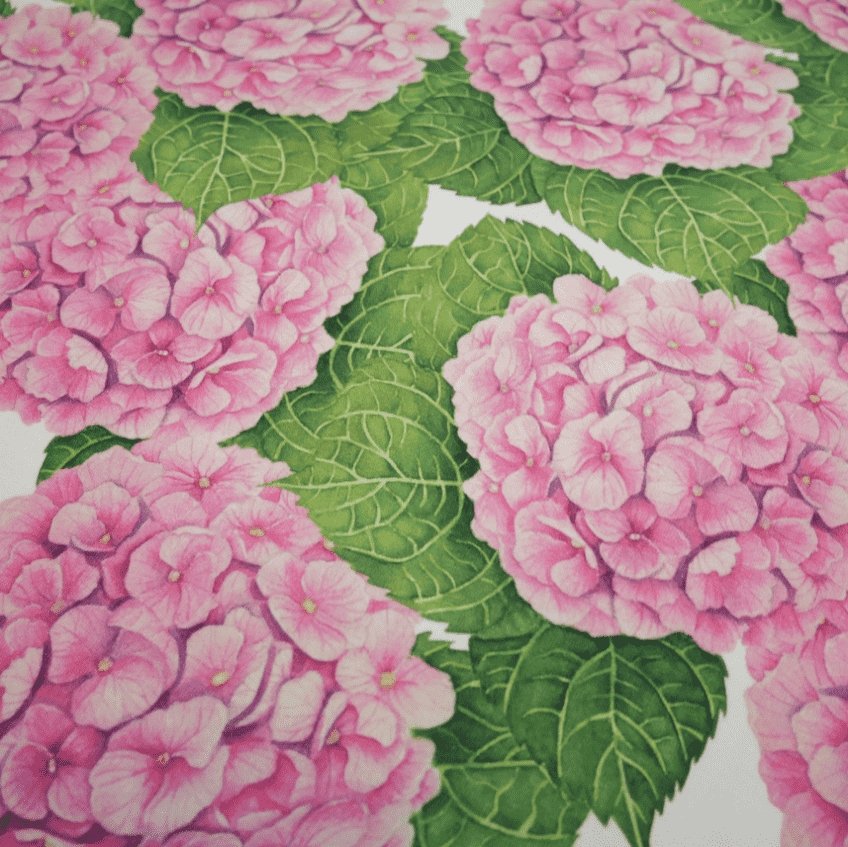 Hortensia Rosa Jersey - Color in my Soul