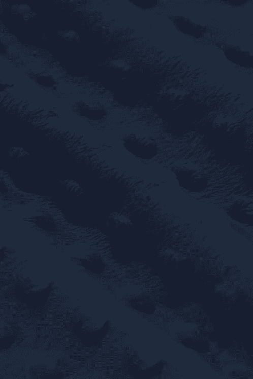 Minky fleece - marineblått